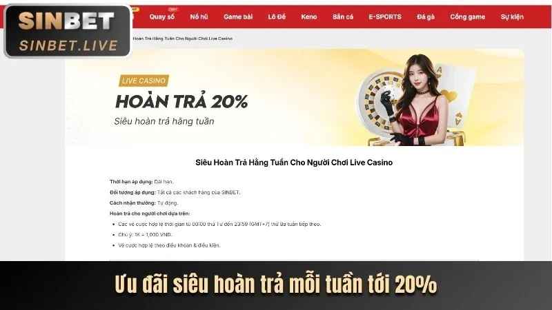 Hoàn trả cược Nổ Hũ Gamemomo